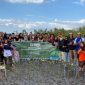 Sebanyak 50 peserta melakukan penanaman pohon mangrove di pulau kaung, Kecamatan Buer, Kabupaten Sumbawa pada Jumat (19/07/2024). Foto (Nanda Bayu Dermawan).