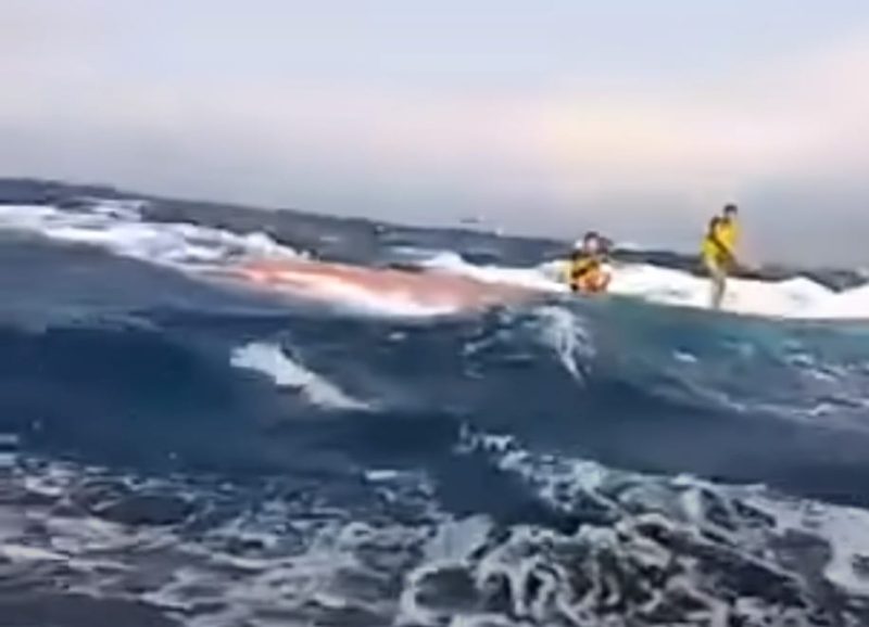 ABK Kapal Bahula yang berhasil dievakuasi. Photo (Screenshoot Video amatir).