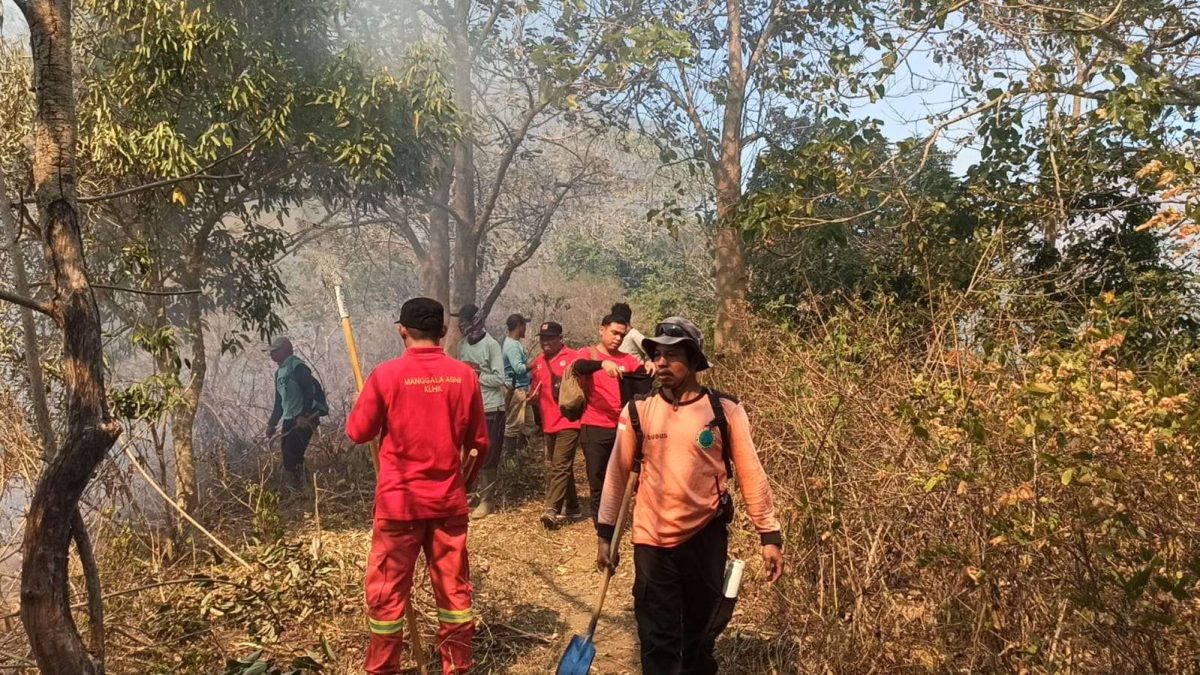 Petugas bersama masyarakat masih berjibaku padamkan api di Bukit Anak Dara Rinjani. Foto (ist).