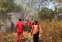 Petugas bersama masyarakat masih berjibaku padamkan api di Bukit Anak Dara Rinjani. Foto (ist).