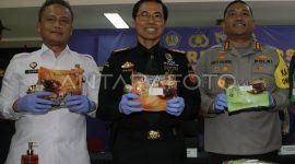Foto: ANTARA