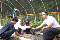 Ekowisata Mangrove, Jerowaru, Lombok Timur. Foto: (Humas PLN NTB).