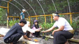 Ekowisata Mangrove, Jerowaru, Lombok Timur. Foto: (Humas PLN NTB).