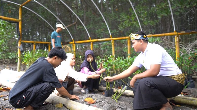 Ekowisata Mangrove, Jerowaru, Lombok Timur. Foto: (Humas PLN NTB).