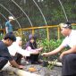 Ekowisata Mangrove, Jerowaru, Lombok Timur. Foto: (Humas PLN NTB).