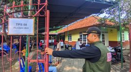 Mulhakim, SH, Lurah Pejarakan Karya, Kecamatan Ampenan Kota Mataram saat memantau pelaksanaan pemungutan suara di TPS 08, RT.02. Rabu (27/11/2024). Foto: (Mamiq Sahaya)