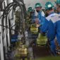 Petugas mengisi ulang tabung gas elpiji subsidi ukuran tiga kilogram di Stasiun Pengisian Bulk Elpiji Kota Bengkulu, Bengkulu, Jumat (6/12/2024). Pertamina Patra Niaga Sumbagsel memastikan pasokan gas elpiji subsidi berukuran tiga kilogram di wilayah Bengkulu mencukupi dengan kuota harian sebesar 60 ribu tabung dan tambahan mencapai 100 ribu tabung untuk memenuhi kebutuhan masyarakat pada perayaan Natal dan Tahun Baru 2025. ANTARA FOTO/Muhammad Izfaldi/nym.