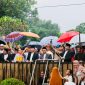 Dengan memanfaatkan payung, warga menyaksikan prosesi budaya perang Topat di pura - kemaliq Lingsar Minggu 15 Desember 2024 (DSHD )