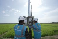 Petugas PLN sedang melakukan pengecekan listrik untuk pompa pengairan sawah di Kampung Telaga Sari, Merauke, Papua Selatan. Melalui program _Electrifying Agriculture_, kini produktivitas para petani di kampung tersebut semakin meningkat. Foto (PLN)