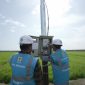 Petugas PLN sedang melakukan pengecekan listrik untuk pompa pengairan sawah di Kampung Telaga Sari, Merauke, Papua Selatan. Melalui program _Electrifying Agriculture_, kini produktivitas para petani di kampung tersebut semakin meningkat. Foto (PLN)