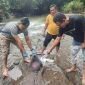 Penemuan jasad bayi baru lahir di aliran Kali Ancar atau dikenal sebagai Kokok Belek, Minggu (12/01/2025). Foto (Humas Polresta Mataram).