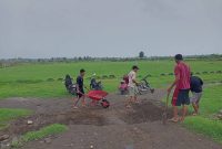 Kelompok Pemuda Peduli Lapangan Pringgabaya (KP2L) saat melakukan potong rumput di lapangan Sepak bola, Desa Pringgabaya. Jumat (17/01/2025). Foto (Doc.Ist).