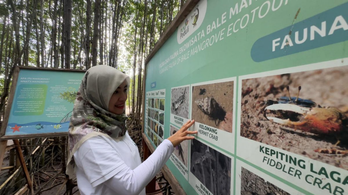 Ekowisata Bale Mangrove. Berlokasi di Kabupaten Lombok Timur. Foto (PLN NTB).