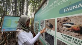 Ekowisata Bale Mangrove. Berlokasi di Kabupaten Lombok Timur. Foto (PLN NTB).