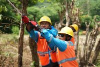 Petugas PLN sedang melakukan Pemeliharaan Sistem Distribusi di Bima. Foto (PLN NTB)