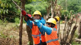 Petugas PLN sedang melakukan Pemeliharaan Sistem Distribusi di Bima. Foto (PLN NTB)
