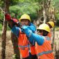 Petugas PLN sedang melakukan Pemeliharaan Sistem Distribusi di Bima. Foto (PLN NTB)