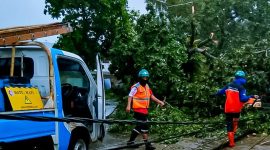 Tim Siaga PLN sedang memperbaiki jaringan pasca cuaca extrem yang terjadi di sejumlah daerah di NTB. Foto (PLN NTB)