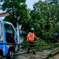 Tim Siaga PLN sedang memperbaiki jaringan pasca cuaca extrem yang terjadi di sejumlah daerah di NTB. Foto (PLN NTB)