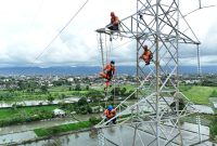 Tim PLN melakukan pemeliharaan pada jaringan listrik tegangan tinggi. Foto (PLN NTB).