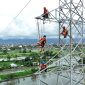 Tim PLN melakukan pemeliharaan pada jaringan listrik tegangan tinggi. Foto (PLN NTB).