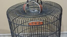Barang bukti Sangkar Burung Murai Batu yang curi terduga pelaku AA. Foto (Polresta Mataram).