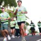 Foto : Merumatta Half Marathon tahun 2024.