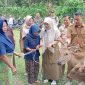 Wakil Bupati Lombok Barat Hj. Nurul Adha (UNA) bersama Yayasan Relief Islami Indonesia menyerahkan secara simbolis 166 ekor sapi kepada masyarakat Desa Lembah Sempage, Kecamatan Narmada, Kabupaten Lombok Barat. Selasa (23/12/2025).