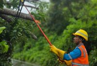 Petugas PT PLN (Persero) Unit Induk Wilayah Nusa Tenggara Barat (UIW NTB) melakukan perbaikan jaringan distribusi kelistrikan. Foto (PLN NTB)