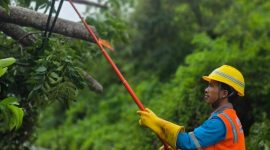 Petugas PT PLN (Persero) Unit Induk Wilayah Nusa Tenggara Barat (UIW NTB) melakukan perbaikan jaringan distribusi kelistrikan. Foto (PLN NTB)