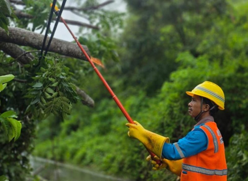 Petugas PT PLN (Persero) Unit Induk Wilayah Nusa Tenggara Barat (UIW NTB) melakukan perbaikan jaringan distribusi kelistrikan. Foto (PLN NTB)
