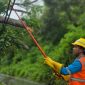Petugas PT PLN (Persero) Unit Induk Wilayah Nusa Tenggara Barat (UIW NTB) melakukan perbaikan jaringan distribusi kelistrikan. Foto (PLN NTB)