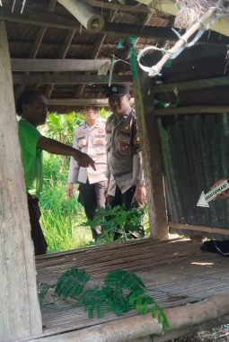 Polisi Selidiki Penemuan Jenazah Perempuan di Sawah Perbatasan Badrain-Sembung