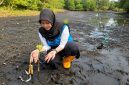 Satu per satu bibit mangrove ditanam di pesisir Tobelo, Halmahera Utara. Di lokasi yang sama, upaya konservasi burung mamoa dilakukan, sementara sejumlah tukik dilepaskan menuju laut lepas. Rangkaian aksi tersebut menjadi simbol harapan baru bagi keberlanjutan ekosistem pesisir Maluku Utara. Foto (PLN UIK Dwipantara).