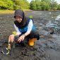 Satu per satu bibit mangrove ditanam di pesisir Tobelo, Halmahera Utara. Di lokasi yang sama, upaya konservasi burung mamoa dilakukan, sementara sejumlah tukik dilepaskan menuju laut lepas. Rangkaian aksi tersebut menjadi simbol harapan baru bagi keberlanjutan ekosistem pesisir Maluku Utara. Foto (PLN UIK Dwipantara).